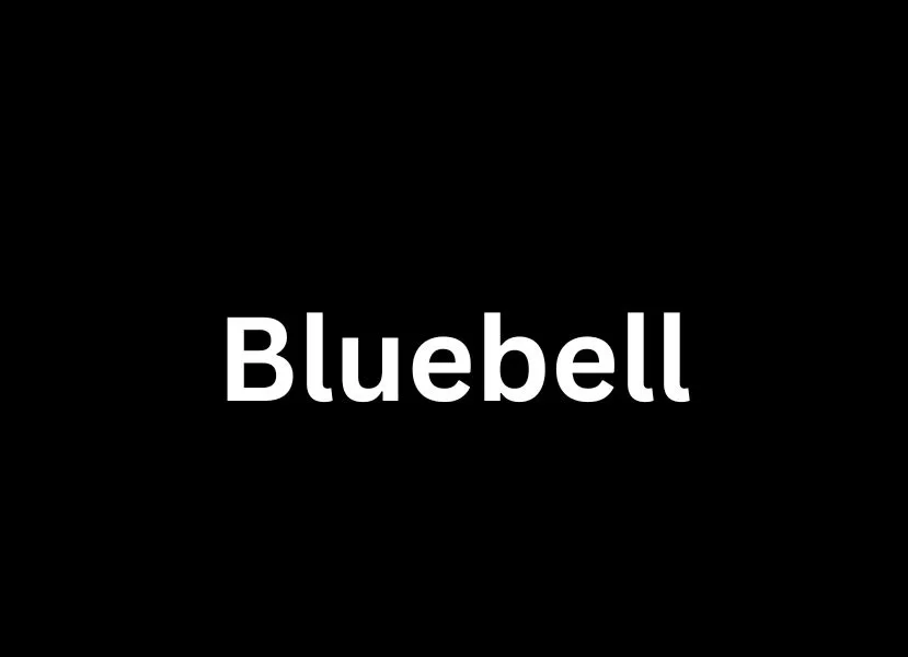 Bluebell Members