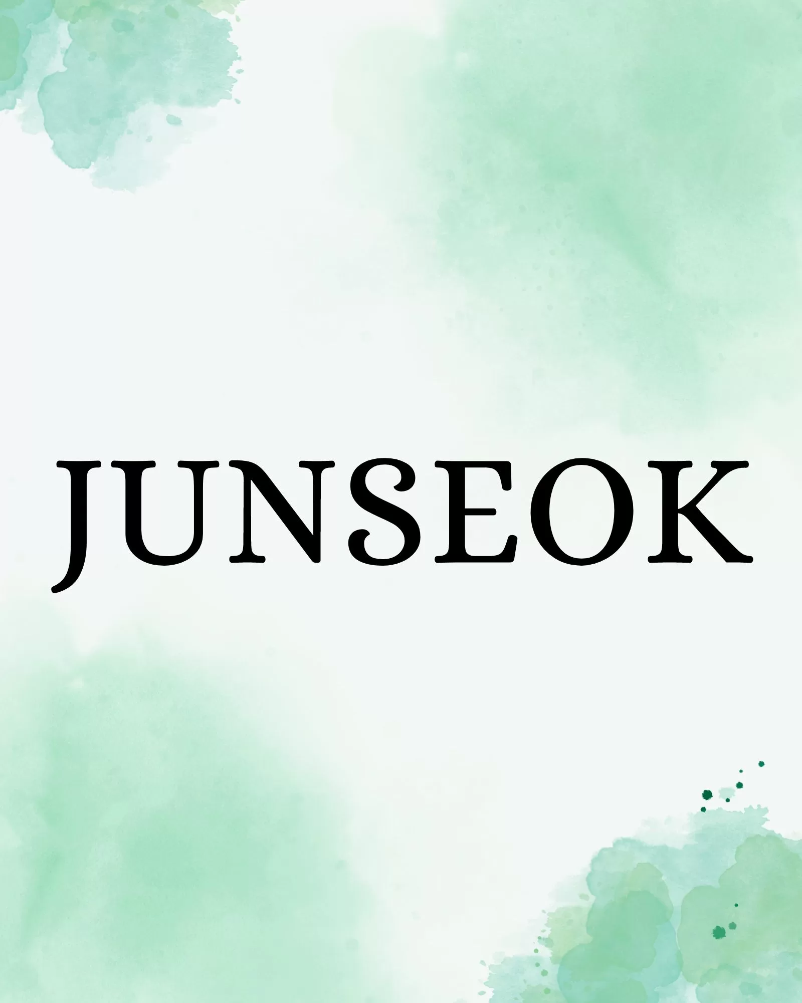 Junseok (NewB Member)