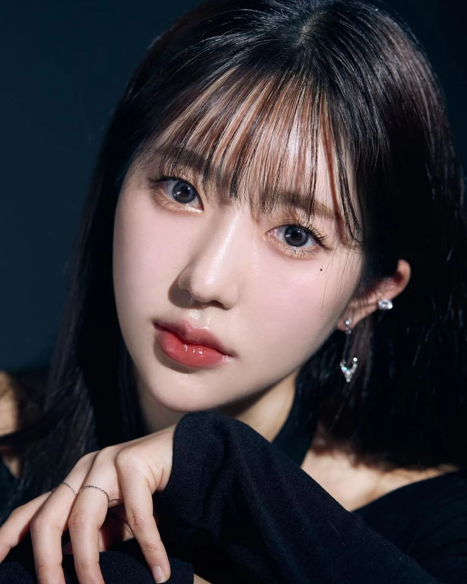 Sua (Rabbit or Fox Members)