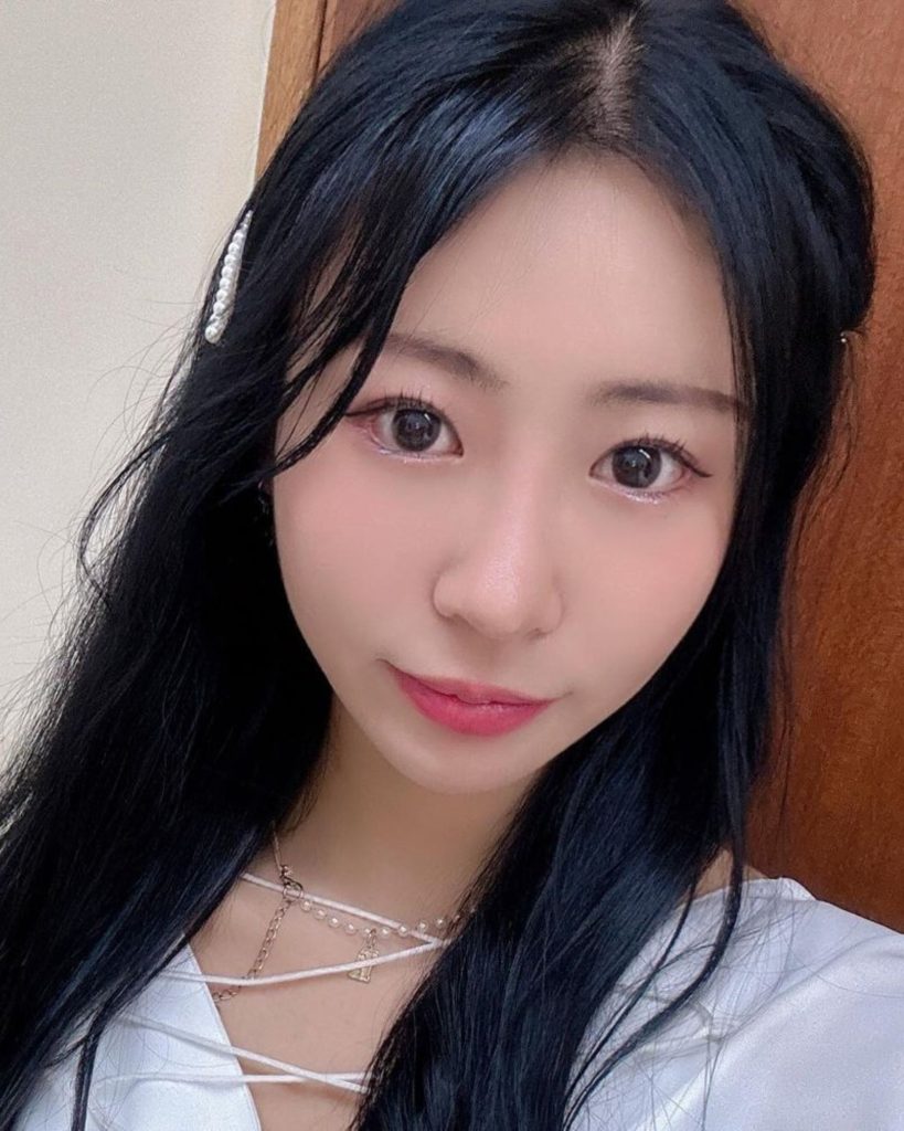 Rabbit or Fox Members Profile, Ages, & (Updated Facts!)