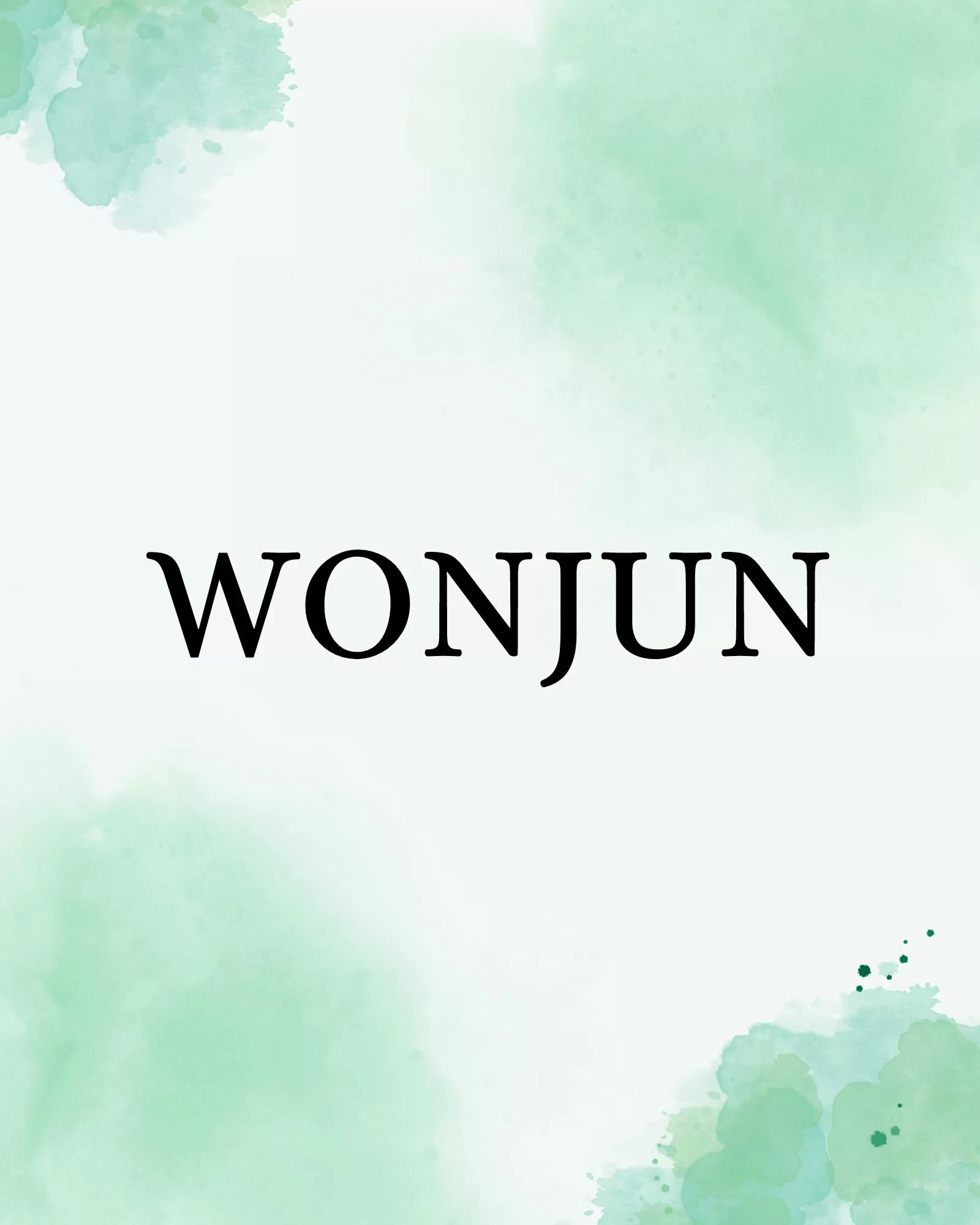 Wonjun (NewB Member)