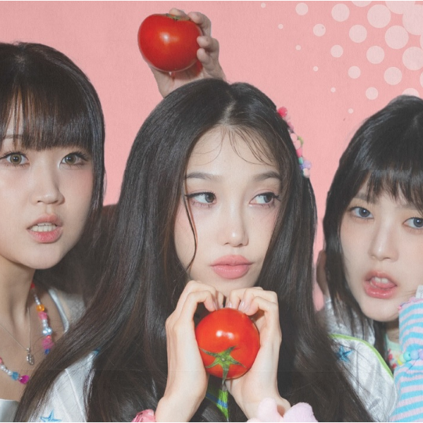 TOMATOMAT Members